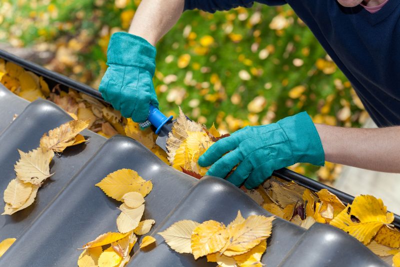 Gutter Leaf Clearing