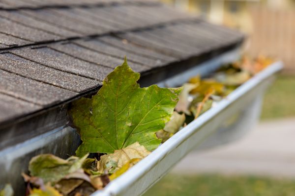 Gutter System Cleaning in Jersey City