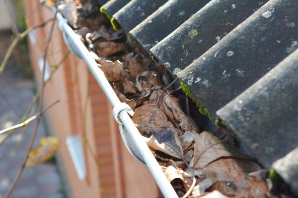 Home Gutter Cleaning in Jersey City