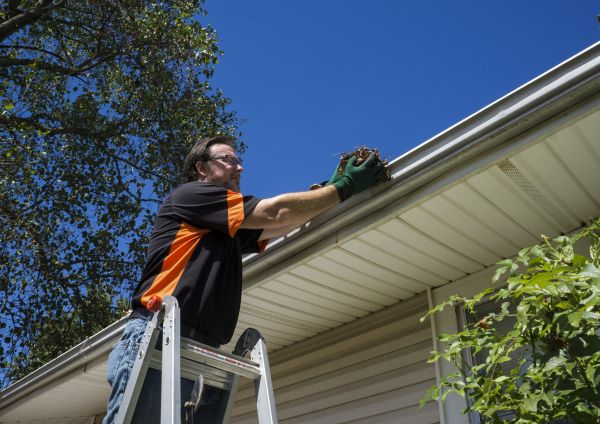 Eavestrough Clearing in Jersey City