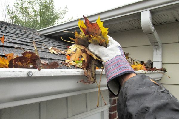 Rain Gutter Clearing in Jersey City