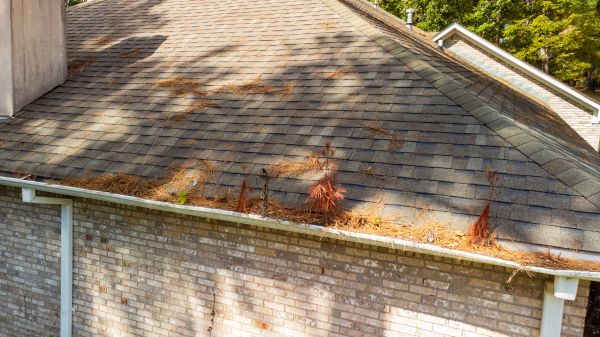 Gutter Pine Needle Removal in Jersey City